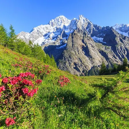 Charming With Garden In - Happy * Courmayeur